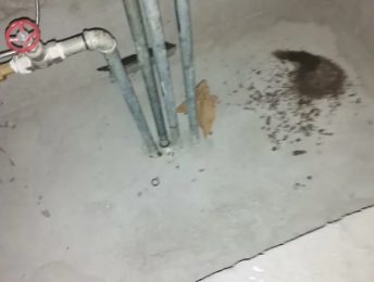 和龙卫生间测漏水价格明细